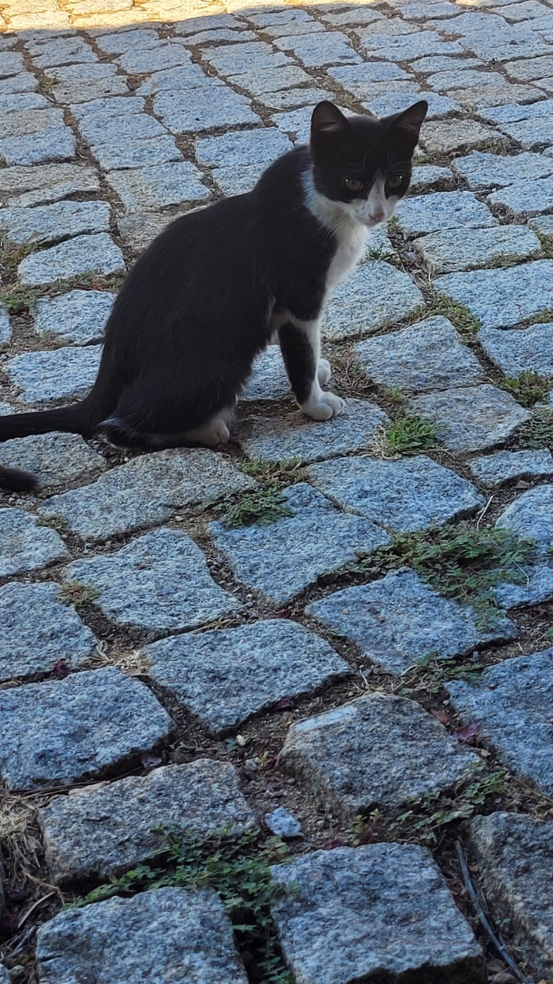Nininho, 3